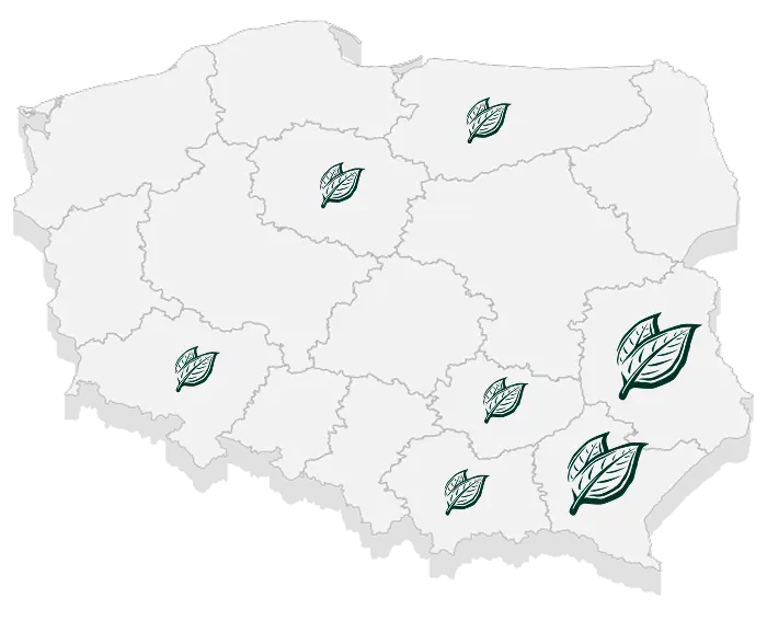 Mapa Polski z uprawami tytoniu