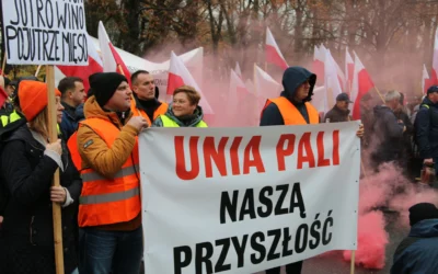 Rolnicy przeciwko likwidacji upraw tytoniu. „Bruksela nie będzie nam orać pola”